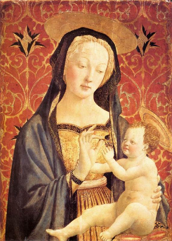 Madonna and Child drre, DOMENICO VENEZIANO